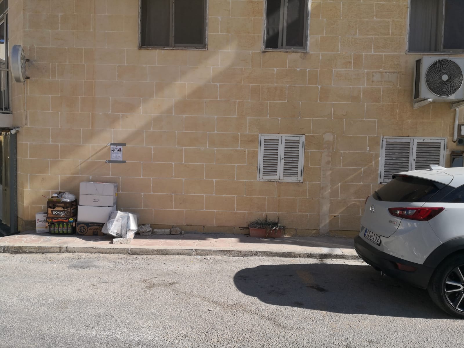 Unraveling the Mysteries of Dinosaurs: A Journey Through Time - Image 1